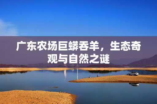 广东农场巨蟒吞羊，生态奇观与自然之谜