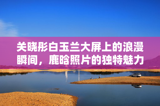 关晓彤白玉兰大屏上的浪漫瞬间，鹿晗照片的独特魅力