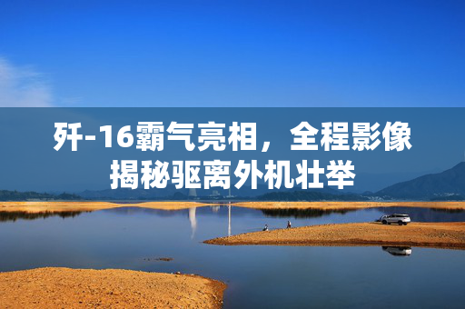 歼-16霸气亮相，全程影像揭秘驱离外机壮举