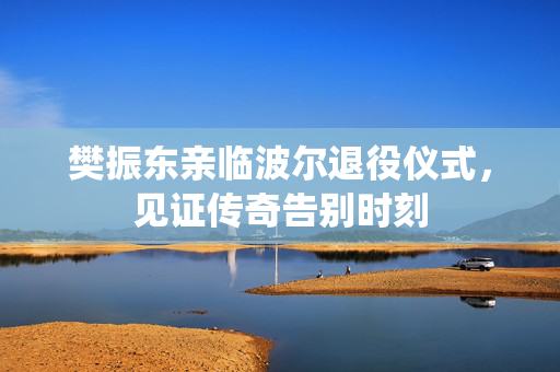 樊振东亲临波尔退役仪式，见证传奇告别时刻