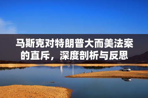 马斯克对特朗普大而美法案的直斥，深度剖析与反思