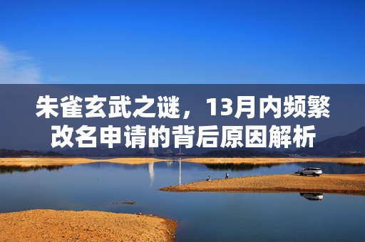 朱雀玄武之谜，13月内频繁改名申请的背后原因解析