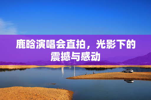 鹿晗演唱会直拍，光影下的震撼与感动