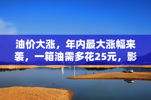 油价大涨，年内最大涨幅来袭，一箱油需多花25元，影响与应对策略