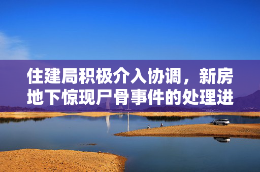 住建局积极介入协调，新房地下惊现尸骨事件的处理进展