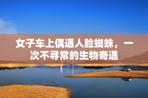 女子车上偶遇人脸蜘蛛，一次不寻常的生物奇遇