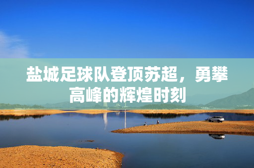 盐城足球队登顶苏超，勇攀高峰的辉煌时刻