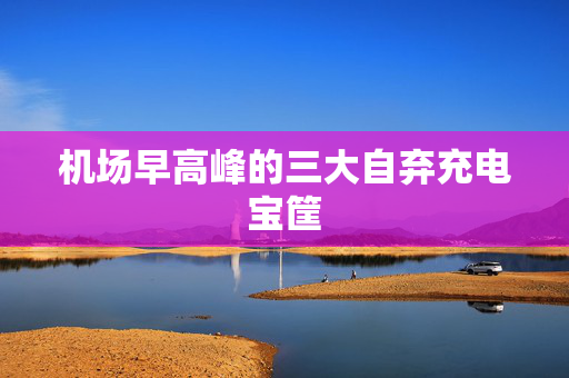 机场早高峰的三大自弃充电宝筐