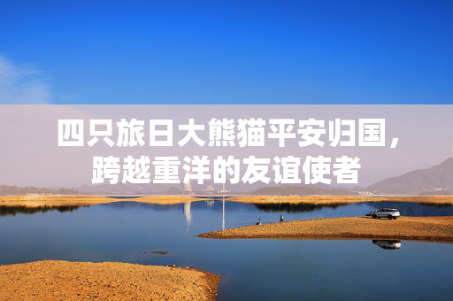 四只旅日大熊猫平安归国，跨越重洋的友谊使者