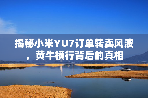 揭秘小米YU7订单转卖风波，黄牛横行背后的真相