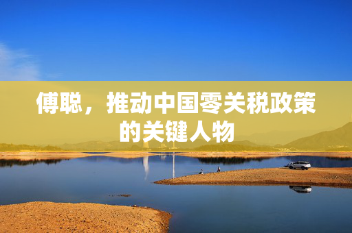 傅聪，推动中国零关税政策的关键人物