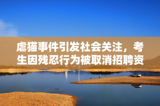虐猫事件引发社会关注，考生因残忍行为被取消招聘资格