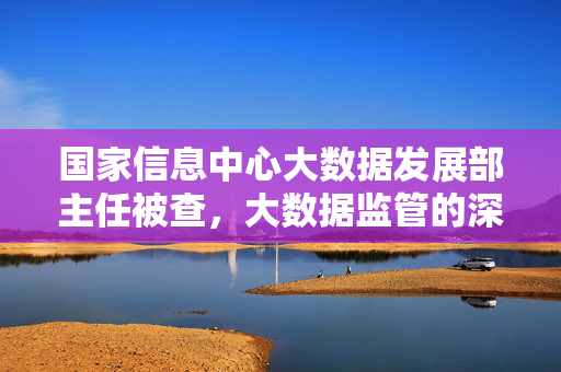 国家信息中心大数据发展部主任被查，大数据监管的深度审视