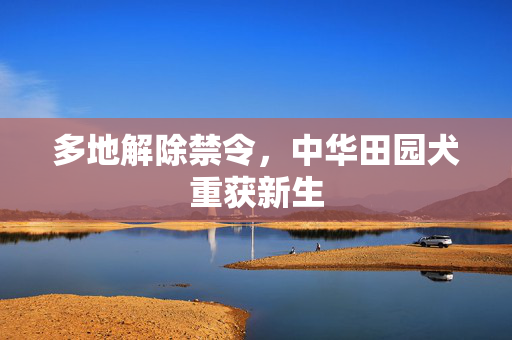 多地解除禁令，中华田园犬重获新生