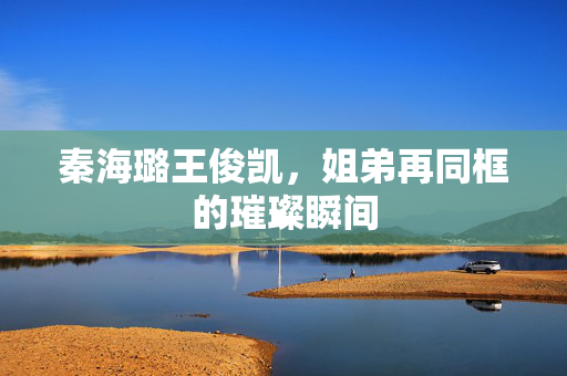 秦海璐王俊凯，姐弟再同框的璀璨瞬间