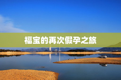 福宝的再次假孕之旅