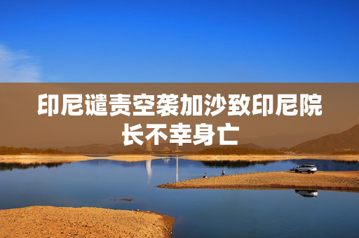 印尼谴责空袭加沙致印尼院长不幸身亡