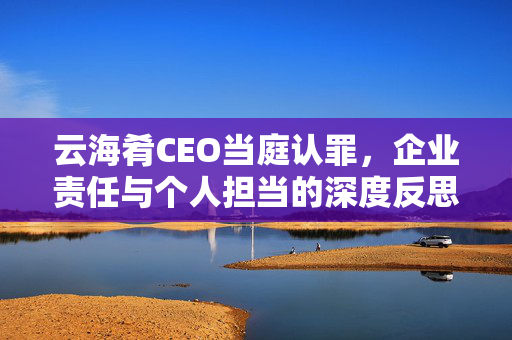 云海肴CEO当庭认罪，企业责任与个人担当的深度反思