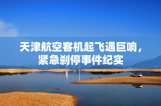 天津航空客机起飞遇巨响，紧急刹停事件纪实