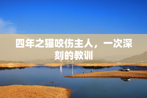 四年之猫咬伤主人，一次深刻的教训