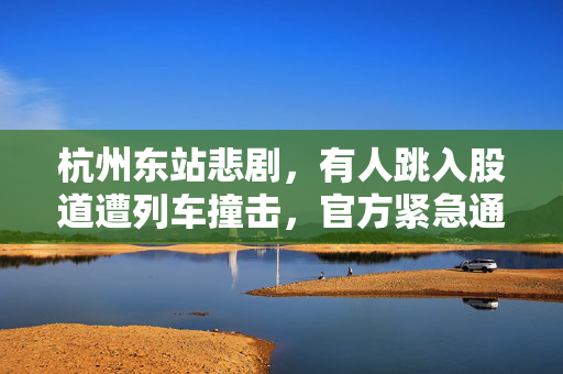 杭州东站悲剧，有人跳入股道遭列车撞击，官方紧急通报