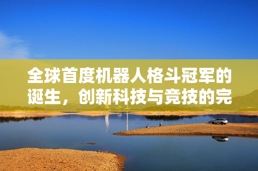 全球首度机器人格斗冠军的诞生，创新科技与竞技的完美融合
