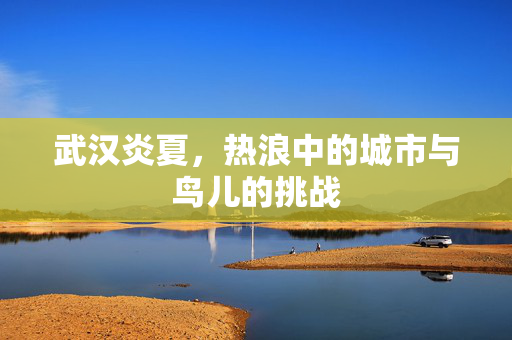 武汉炎夏，热浪中的城市与鸟儿的挑战