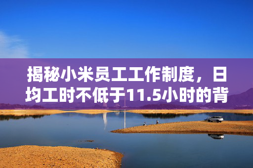 揭秘小米员工工作制度，日均工时不低于11.5小时的背后