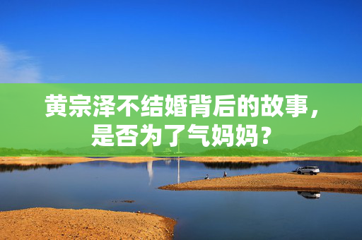 黄宗泽不结婚背后的故事，是否为了气妈妈？