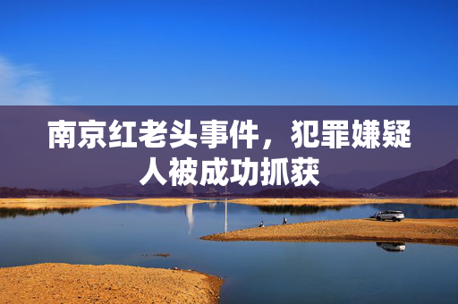 南京红老头事件，犯罪嫌疑人被成功抓获