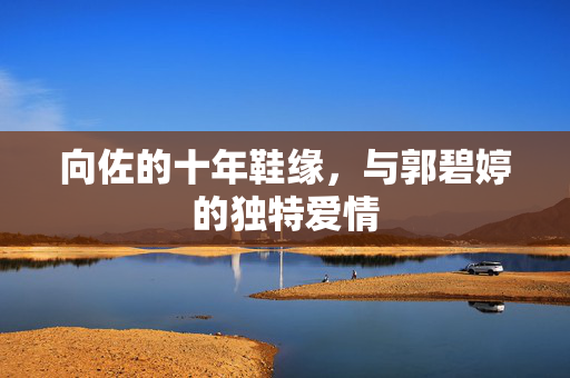 向佐的十年鞋缘，与郭碧婷的独特爱情