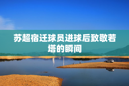 苏超宿迁球员进球后致敬若塔的瞬间