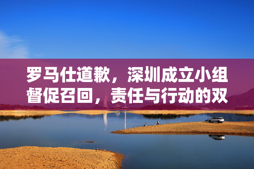罗马仕道歉，深圳成立小组督促召回，责任与行动的双重考量