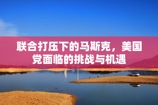 联合打压下的马斯克，美国党面临的挑战与机遇