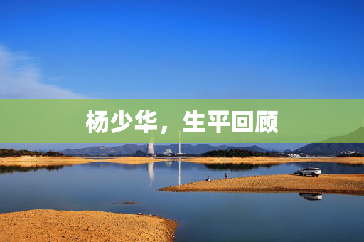 杨少华，生平回顾