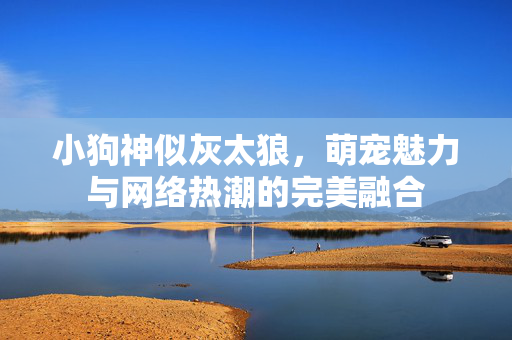 小狗神似灰太狼，萌宠魅力与网络热潮的完美融合