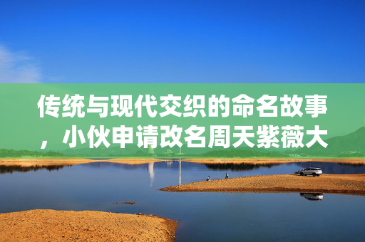 传统与现代交织的命名故事，小伙申请改名周天紫薇大帝遭驳回