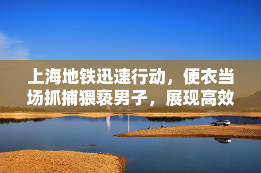 上海地铁迅速行动，便衣当场抓捕猥亵男子，展现高效治安新形象