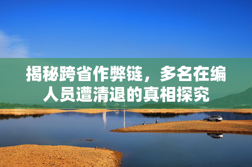 揭秘跨省作弊链，多名在编人员遭清退的真相探究