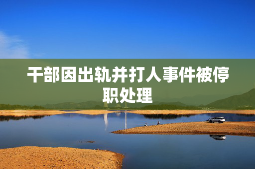 干部因出轨并打人事件被停职处理