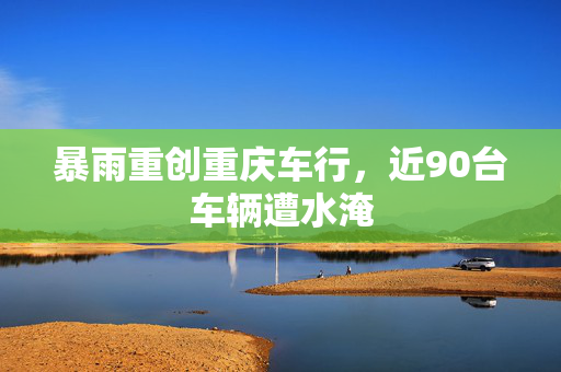 暴雨重创重庆车行，近90台车辆遭水淹