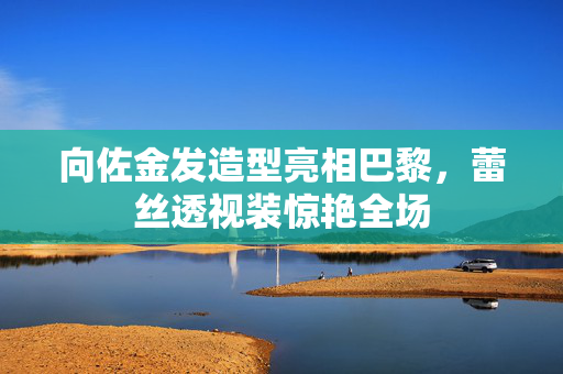 向佐金发造型亮相巴黎，蕾丝透视装惊艳全场