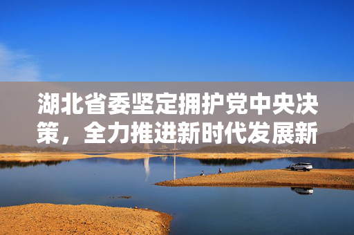 湖北省委坚定拥护党中央决策，全力推进新时代发展新篇章