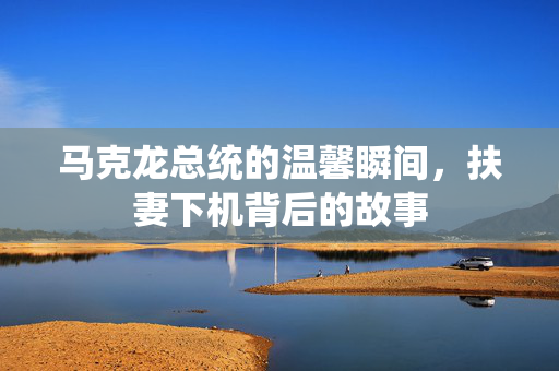 马克龙总统的温馨瞬间，扶妻下机背后的故事