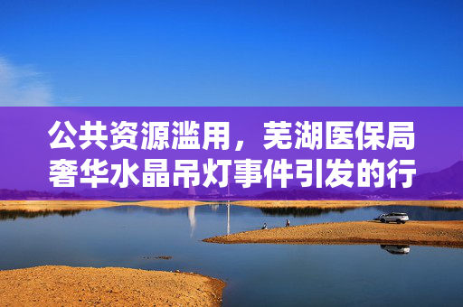 公共资源滥用，芜湖医保局奢华水晶吊灯事件引发的行政透明度思考
