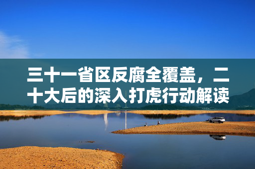三十一省区反腐全覆盖，二十大后的深入打虎行动解读