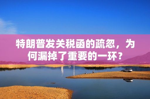 特朗普发关税函的疏忽，为何漏掉了重要的一环？