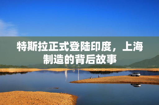 特斯拉正式登陆印度，上海制造的背后故事