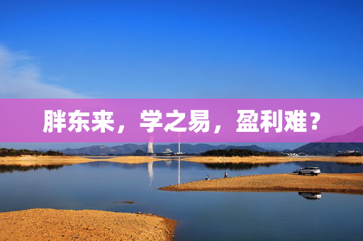 胖东来，学之易，盈利难？