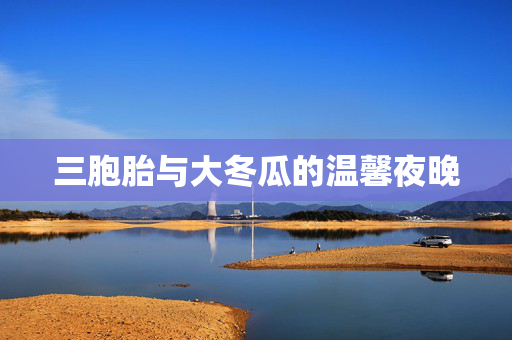 三胞胎与大冬瓜的温馨夜晚